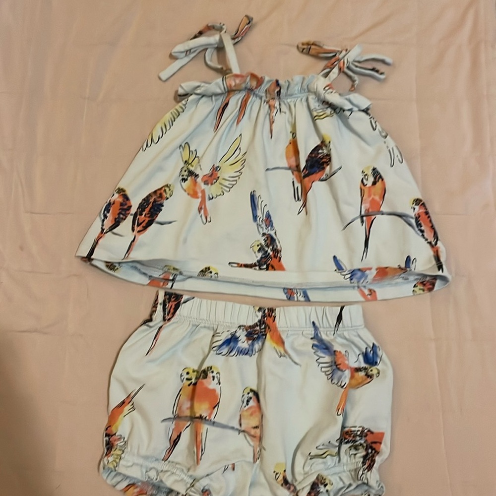 Tea collection tank and short set